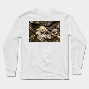 Springtime blossom Long Sleeve T-Shirt